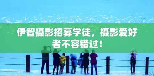伊智摄影招募学徒,摄影爱好者不容错过!
