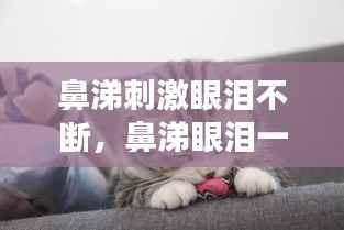 鼻涕刺激眼泪不断，鼻涕眼泪一大把之后眼睛疼 