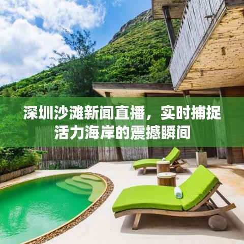 深圳沙滩新闻直播，实时捕捉活力海岸的震撼瞬间