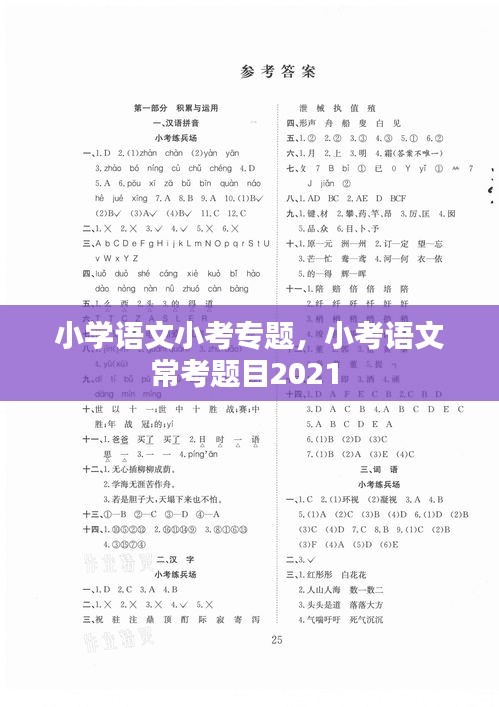 小学语文小考专题，小考语文常考题目2021 