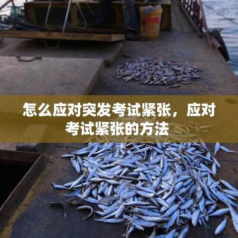 怎么应对突发考试紧张，应对考试紧张的方法 