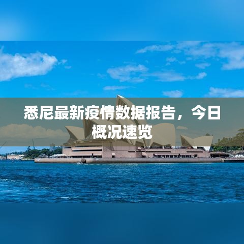 悉尼最新疫情数据报告,今日概况速览