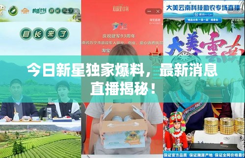 今日新星独家爆料,最新消息直播揭秘!