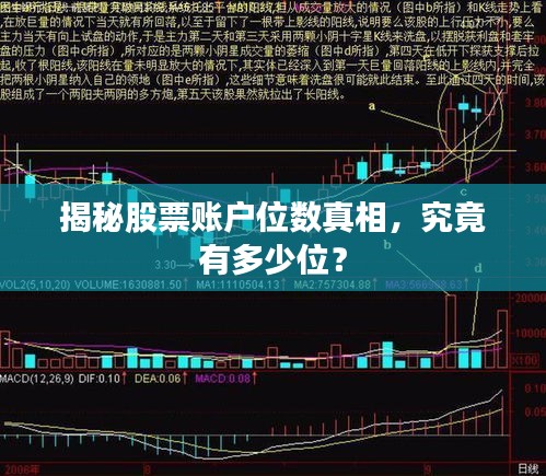 揭秘股票账户位数真相，究竟有多少位？