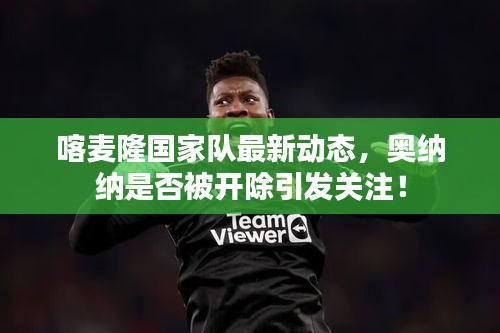喀麦隆国家队最新动态,奥纳纳是否被开除引发关注!