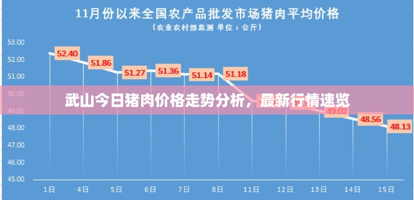 武山今日猪肉价格走势分析，最新行情速览