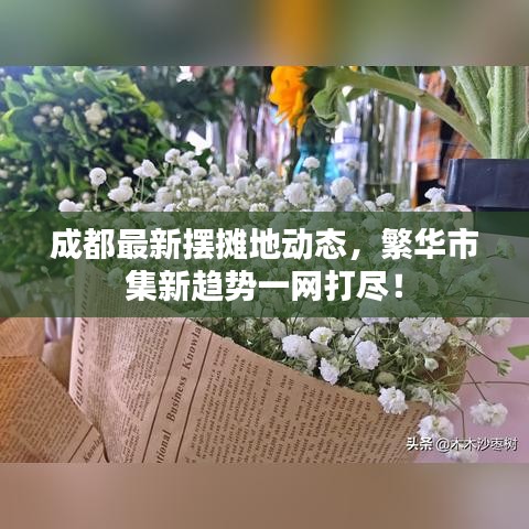 成都最新摆摊地动态,繁华市集新趋势一网打尽!