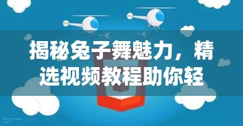 揭秘兔子舞魅力,精选视频教程助你轻松掌握
