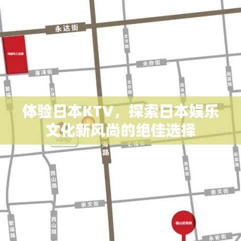 体验日本KTV,探索日本娱乐文化新风尚的绝佳选择