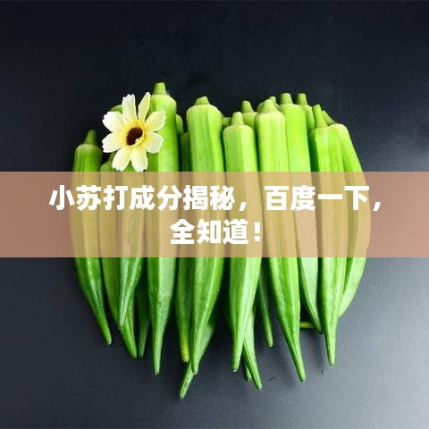 漫天飞舞 第3页