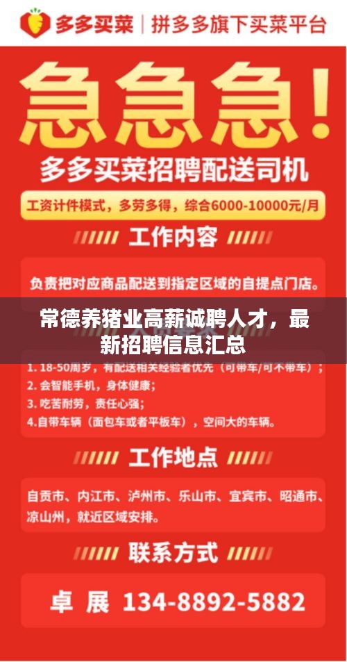 常德养猪业高薪诚聘人才,最新招聘信息汇总