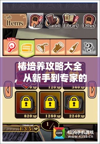 椿培养攻略大全,从新手到专家的全方位指南(2024最新版)