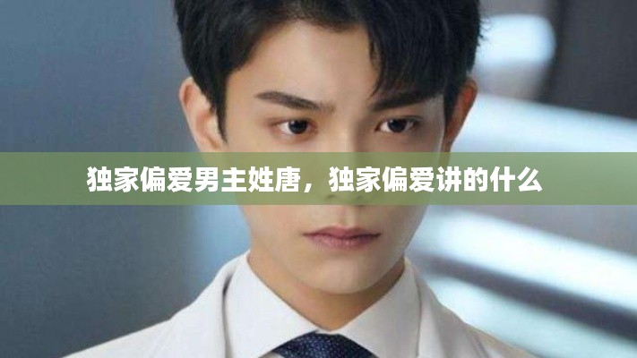 独家偏爱男主姓唐，独家偏爱讲的什么 