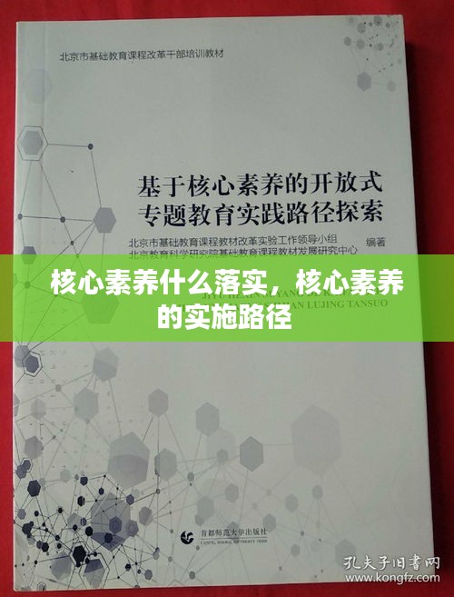 核心素养什么落实,核心素养的实施路径