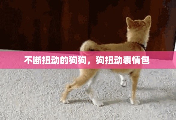 不断扭动的狗狗,狗扭动表情包