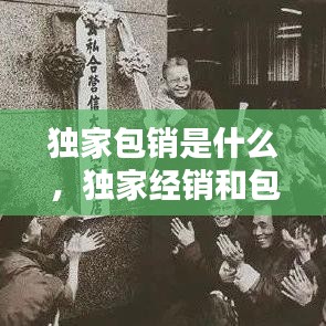 独家包销是什么，独家经销和包销 