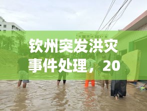 钦州突发洪灾事件处理,2020年钦州近期溺水事件
