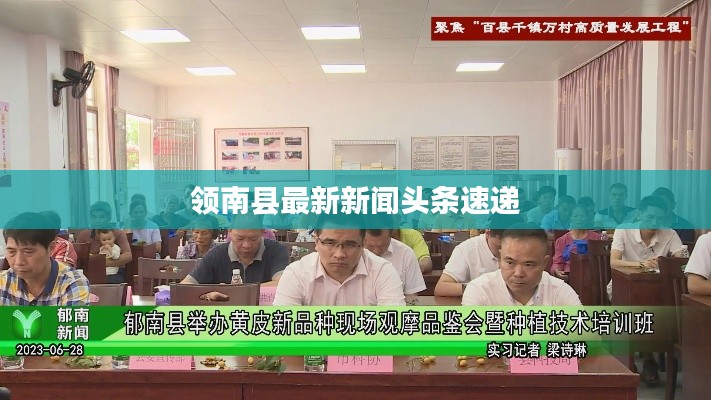 领南县最新新闻头条速递