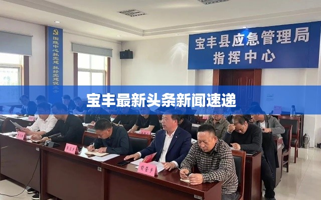 肝胆相照 第2页