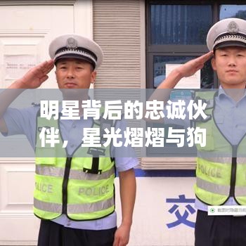 明星背后的忠诚伙伴,星光熠熠与狗狗的温馨故事