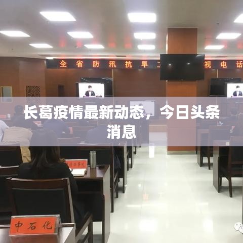 长葛疫情最新动态，今日头条消息
